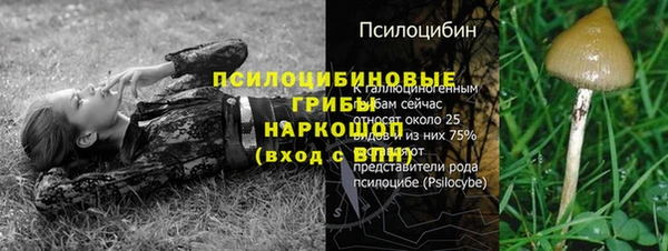 меф Алексин