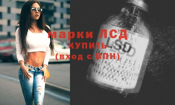 apvp Дмитров